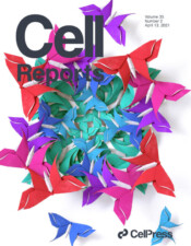 Cell Reports 35