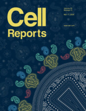 Cell Reports 30