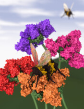 Spring Time