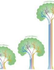 COVID Natural, Vaccine & Hybrid Immunity to SARS-CoV-2 variants