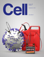 Cell 166