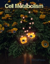 Cell Metabolism 36