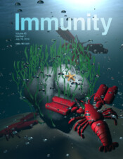 Immunity 49