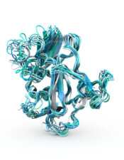 HCV Tangle